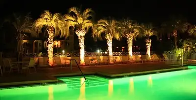 landscape lighting installation services illuminating outdoor recreational areas in Savannah, GA